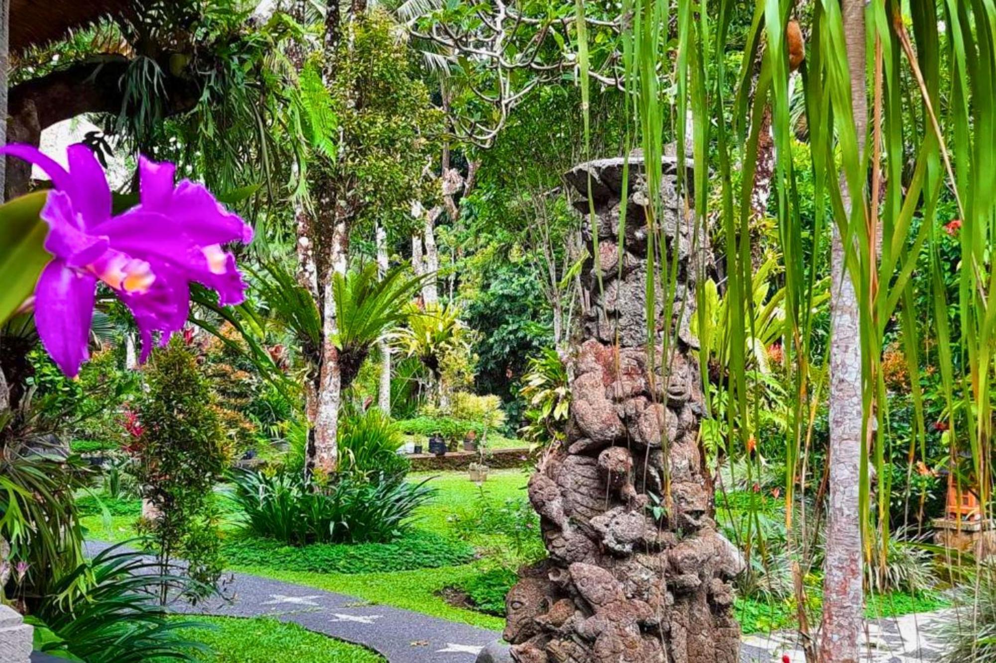 Ritika 1 Bedroom Deluxe Garden View Zn238 Apartemen